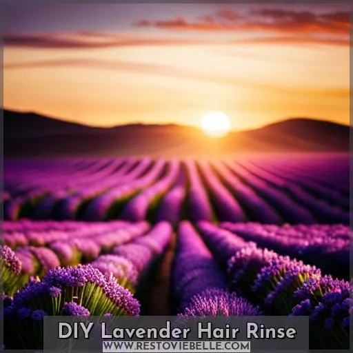 DIY Lavender Hair Rinse