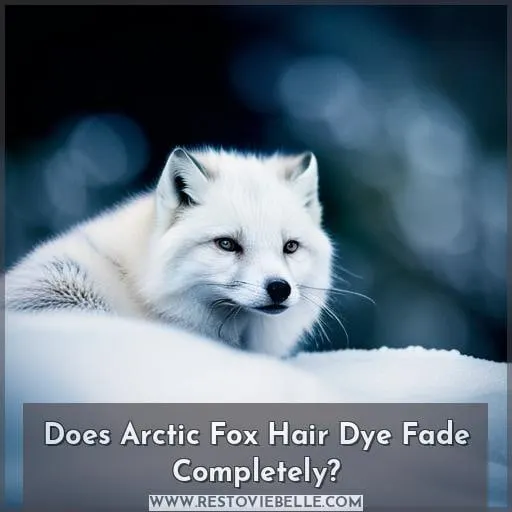 Does Arctic Fox Hair Dye Fade Completely