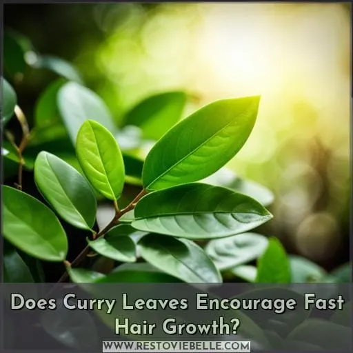 Does Curry Leaves Encourage Fast Hair Growth