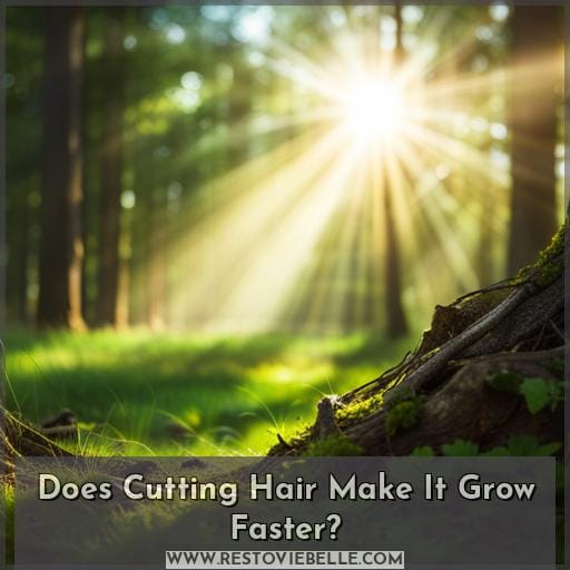Does Cutting Hair Make It Grow Faster Does Cutting Hair Make It Grow Faster