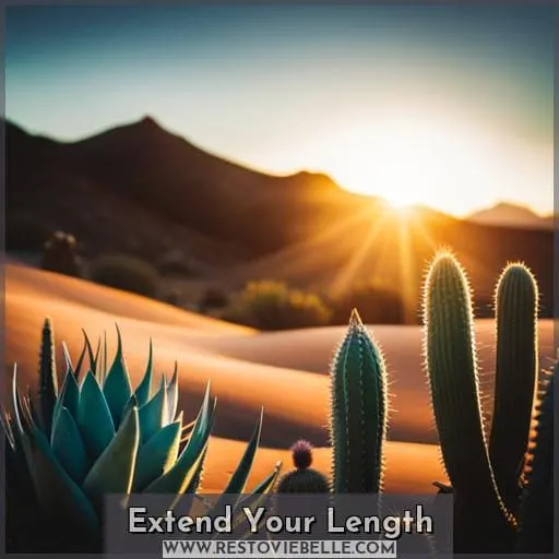 Extend Your Length