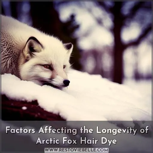 Factors Affecting the Longevity of Arctic Fox Hair Dye