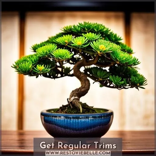 Get Regular Trims