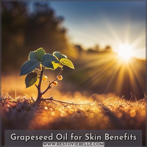 Grapeseed Oil for Skin Benefits