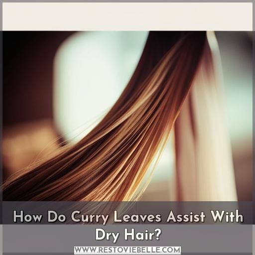 How Do Curry Leaves Assist With Dry Hair