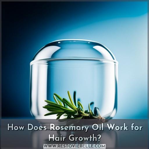 How Does Rosemary Oil Work for Hair Growth