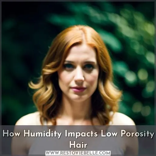 How Humidity Impacts Low Porosity Hair