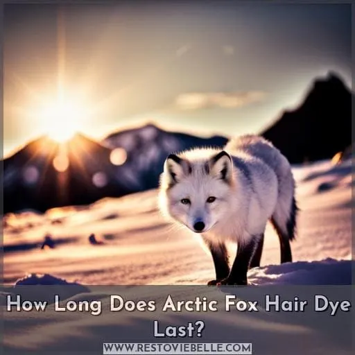 how long does arctic fox last