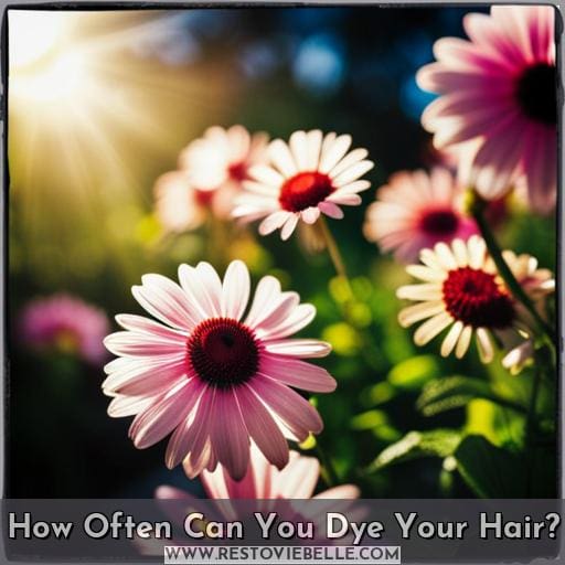 How Often Can You Dye Your Hair How Often Can You Dye Your Hair