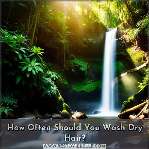 How Often Should You Wash Dry Hair