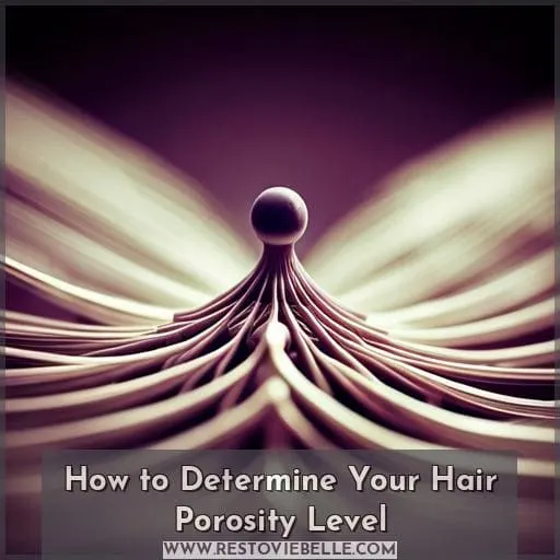 How to Determine Your Hair Porosity Level