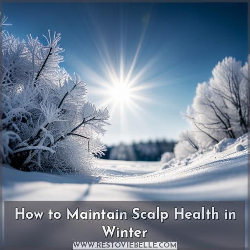 How to Maintain Scalp Health in Winter