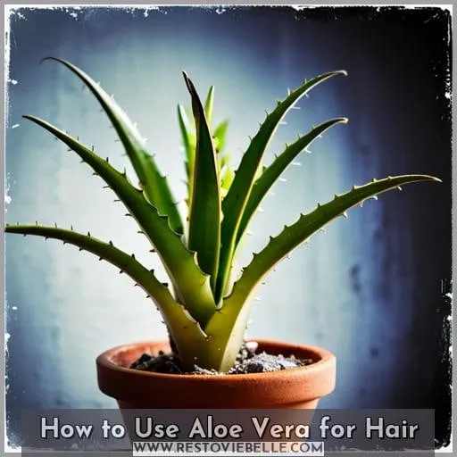 How to Use Aloe Vera for Hair