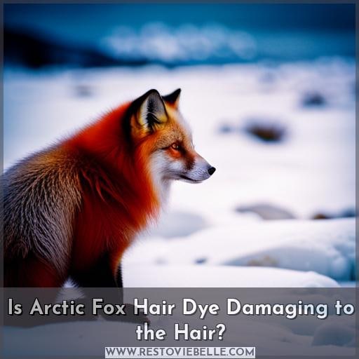 Is Arctic Fox Hair Dye Damaging to the Hair