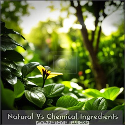 Natural Vs Chemical Ingredients