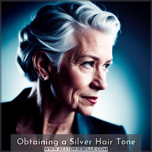 Obtaining a Silver Hair Tone