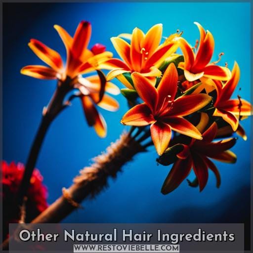 Other Natural Hair Ingredients
