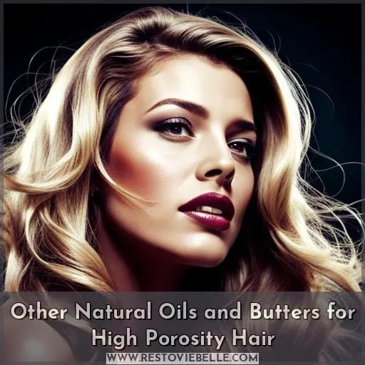 Other Natural Oils and Butters for High Porosity Hair