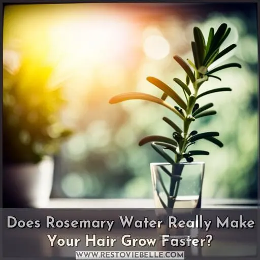 rosemary for hair