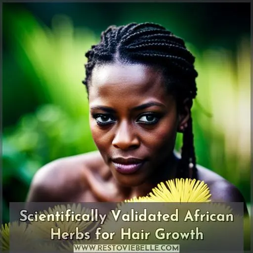 Scientifically Validated African Herbs for Hair Growth