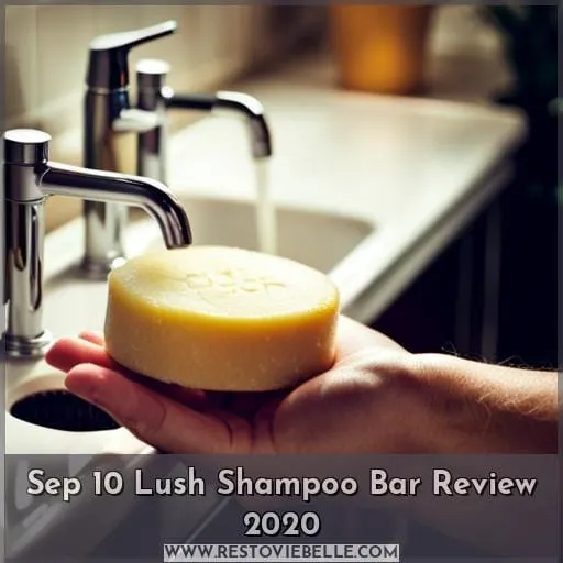 Sep 10 Lush Shampoo Bar Review 2020