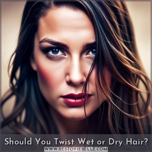 Should You Twist Wet or Dry Hair