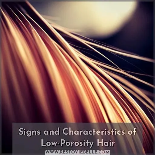 Signs and Characteristics of Low-Porosity Hair