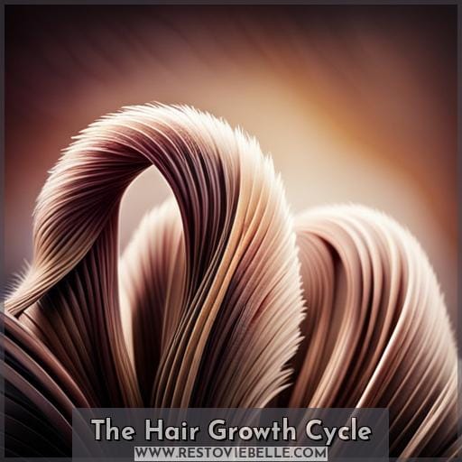 The Hair Growth Cycle