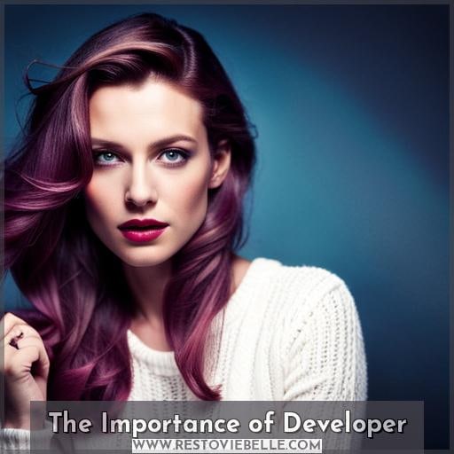 The Importance of Developer