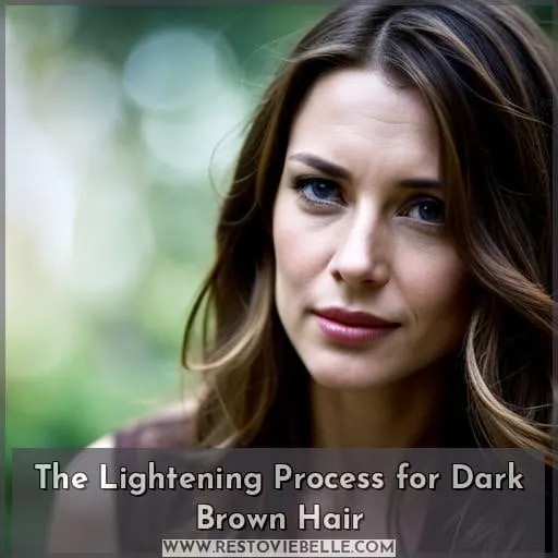 The Lightening Process for Dark Brown Hair