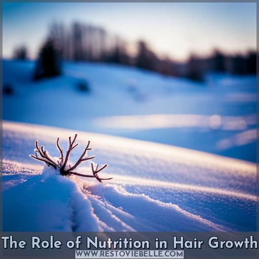 The Role of Nutrition in Hair Growth