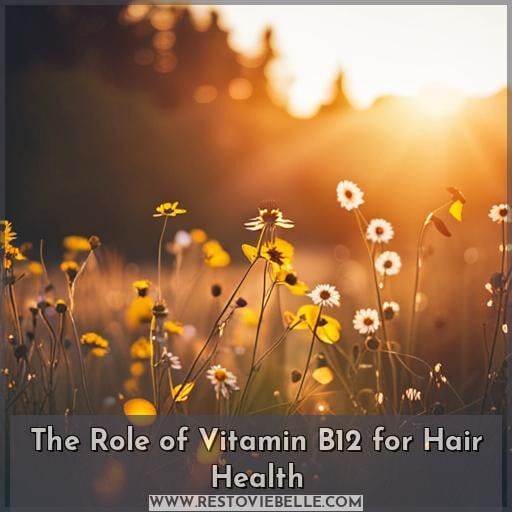 The Role of Vitamin B12 for Hair Health The Role of Vitamin B12 for Hair Health