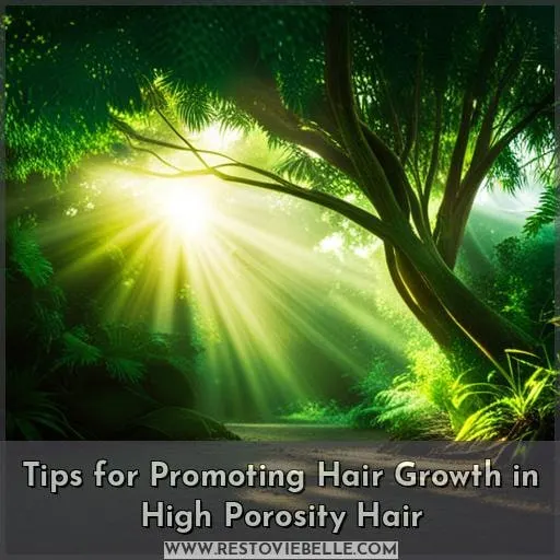 Tips for Promoting Hair Growth in High Porosity Hair