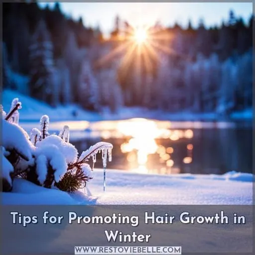 Tips for Promoting Hair Growth in Winter