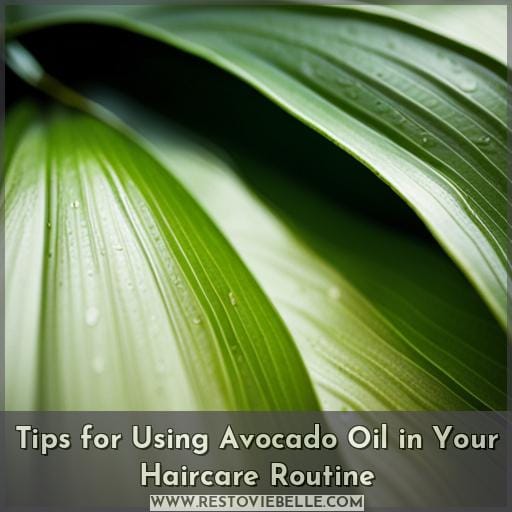 Tips for Using Avocado Oil in Your Haircare Routine