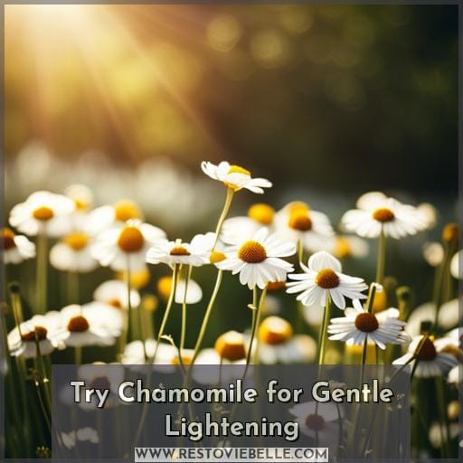 Try Chamomile for Gentle Lightening