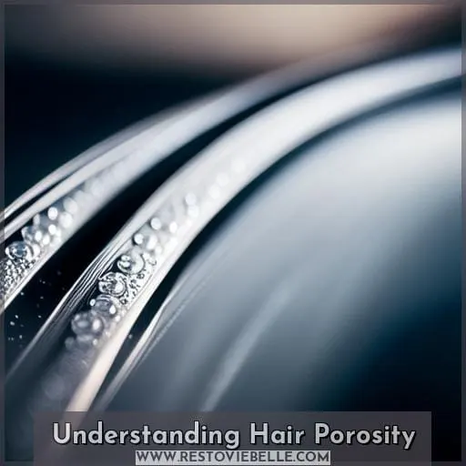 Understanding Hair Porosity