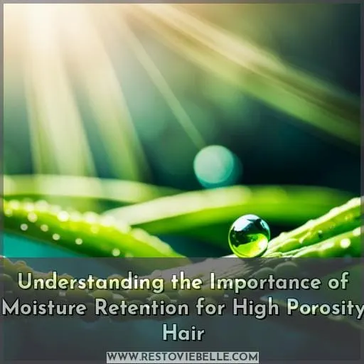 Understanding the Importance of Moisture Retention for High Porosity Hair