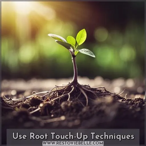 Use Root Touch-Up Techniques