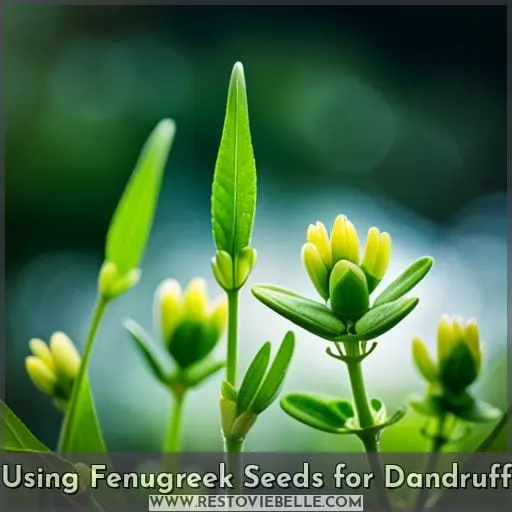 Using Fenugreek Seeds for Dandruff