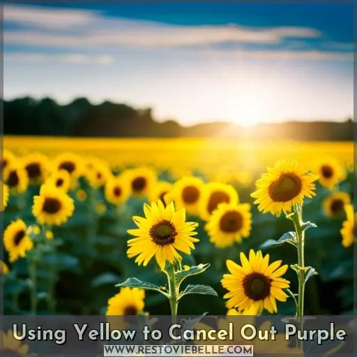 Using Yellow to Cancel Out Purple