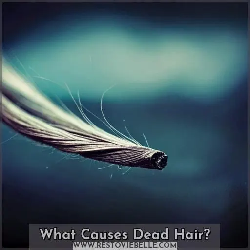 What Causes Dead Hair