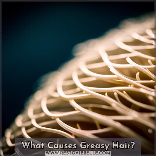 What Causes Greasy Hair