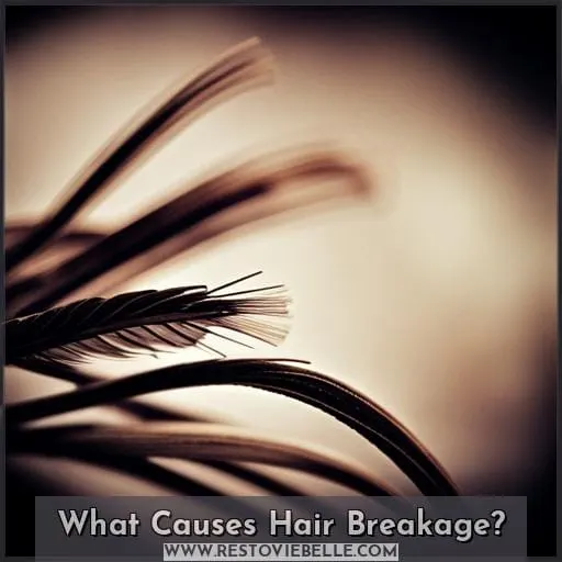 What Causes Hair Breakage