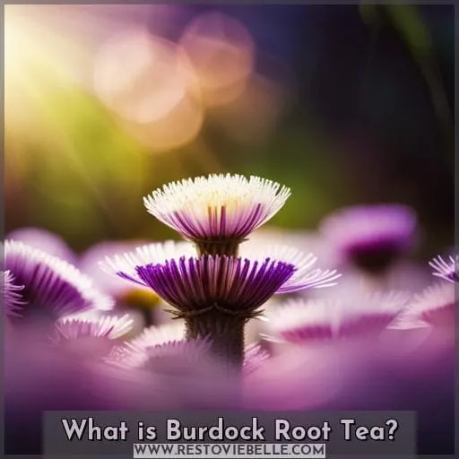 What is Burdock Root Tea