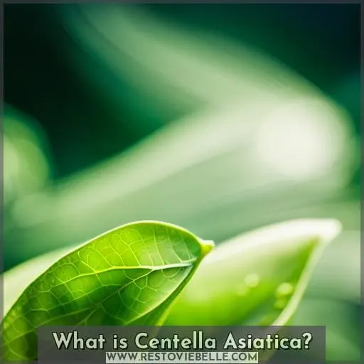 What is Centella Asiatica