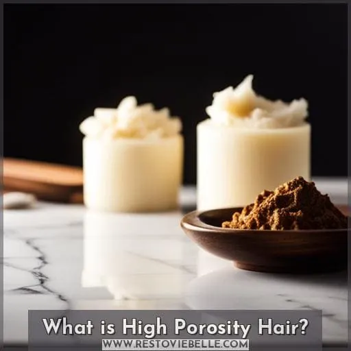 What is High Porosity Hair