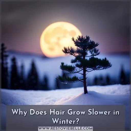 Why Does Hair Grow Slower in Winter