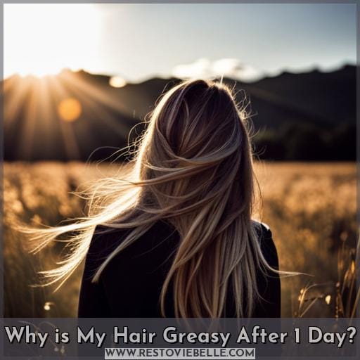 Why is My Hair Greasy After 1 Day