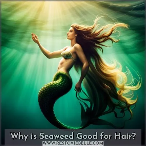 Why is Seaweed Good for Hair
